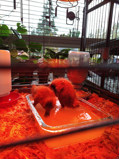 Pet Store «Co-Op Supply», reviews and photos, 2901 State St, Everett, WA 98201, USA