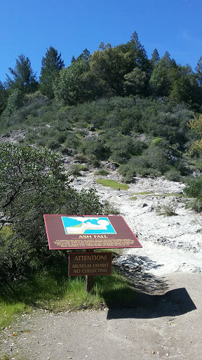 National Forest «Petrified Forest», reviews and photos