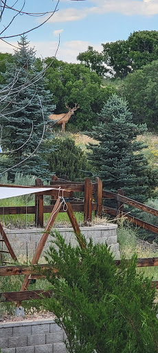 Golf Course «Red Hawk Ridge Golf Course», reviews and photos, 2156 Red Hawk Ridge Dr, Castle Rock, CO 80109, USA