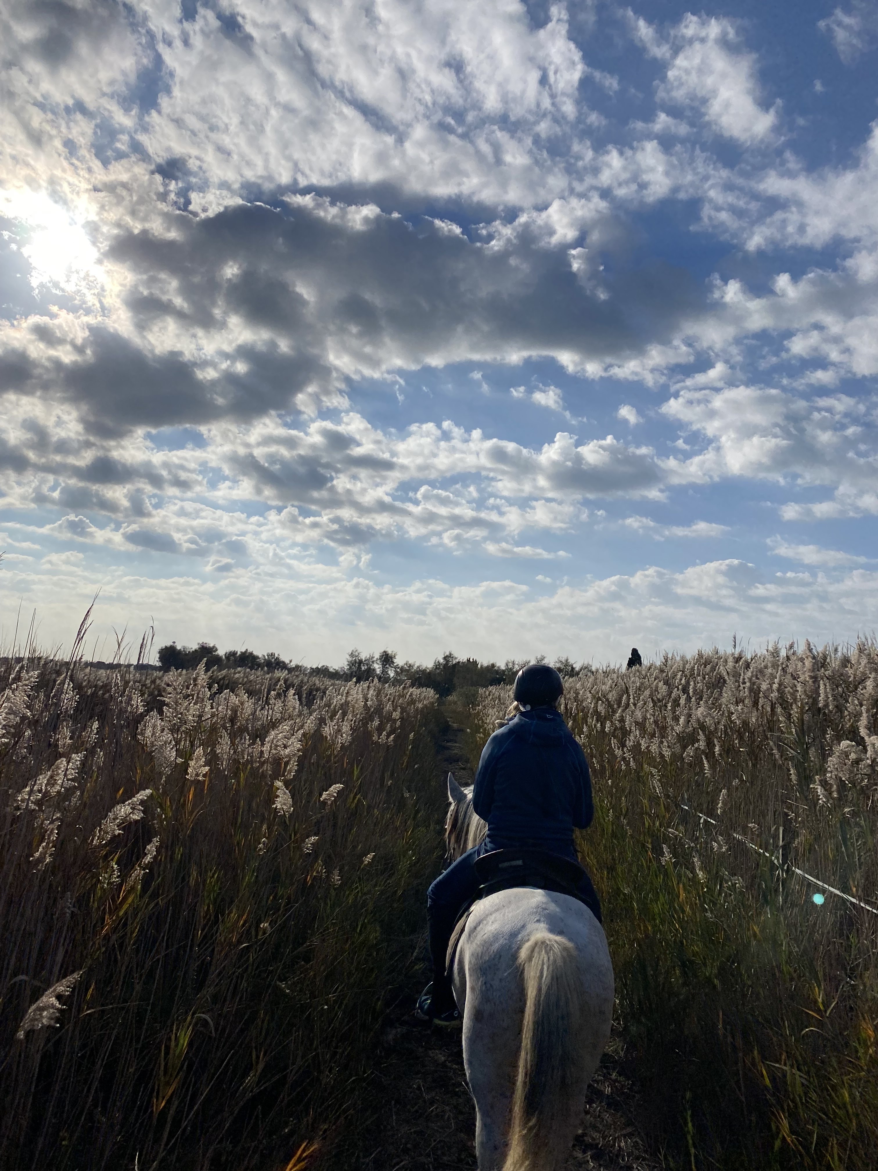 Photo n° 3 de l'avis de Stefan.r fait le 27/10/2021 à 15:57