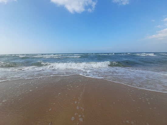 Vankalaippadu beach