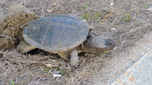 Self-Storage Facility «The Storage Barn of Dover», reviews and photos, 385 6th St, Dover, NH 03820, USA