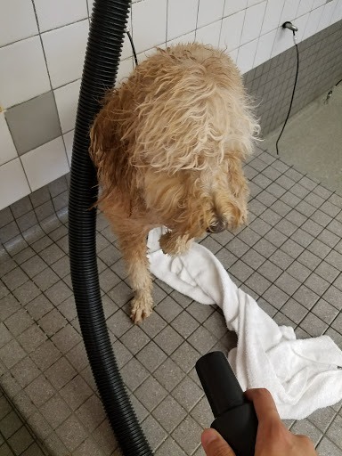 Pet Supply Store «Pet Food Express», reviews and photos, 1101 University Ave, Berkeley, CA 94702, USA