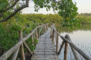 Siit Mangrove Ecopark image