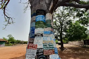 Lamin Lodge image