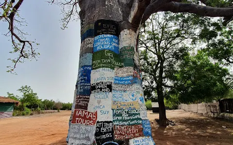 Lamin Lodge image