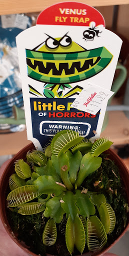 Home Improvement Store «Longeneckers True Value», reviews and photos, 127 Doe Run Rd, Manheim, PA 17545, USA