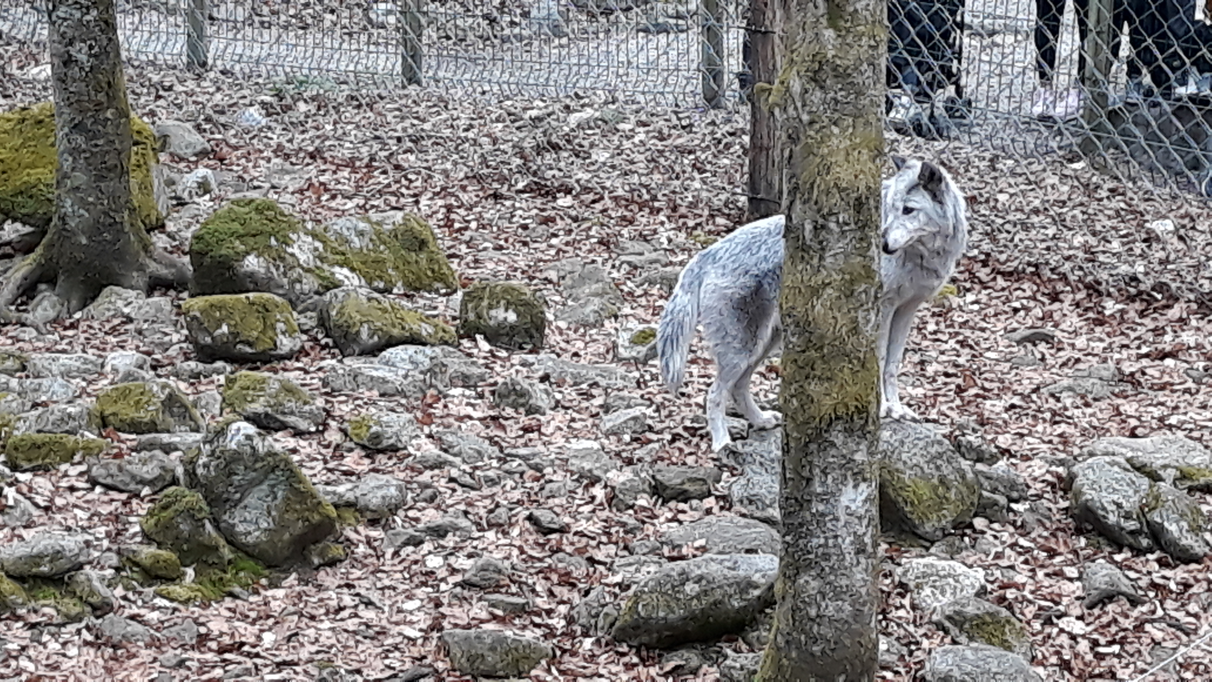 Photo n° 4 de l'avis de Anne.a fait le 24/04/2019 à 15:11