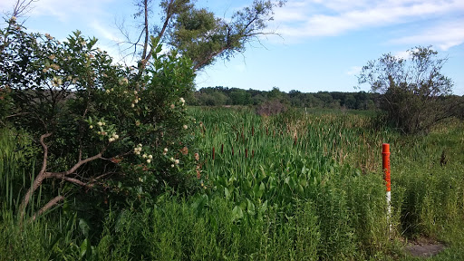 Hiking Area «Cowles Bog Trail», reviews and photos, 1618 N Mineral Springs Rd, Dune Acres, IN 46304, USA