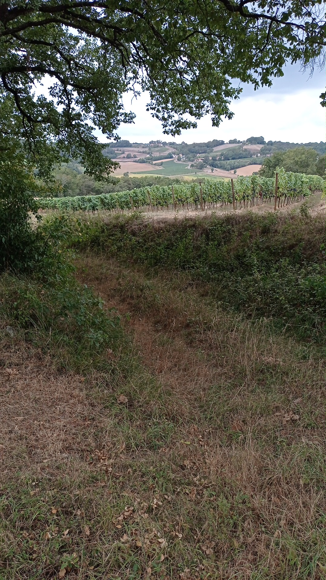 Photo n° 6 de l'avis de Pascale. fait le 03/09/2022 à 14:28