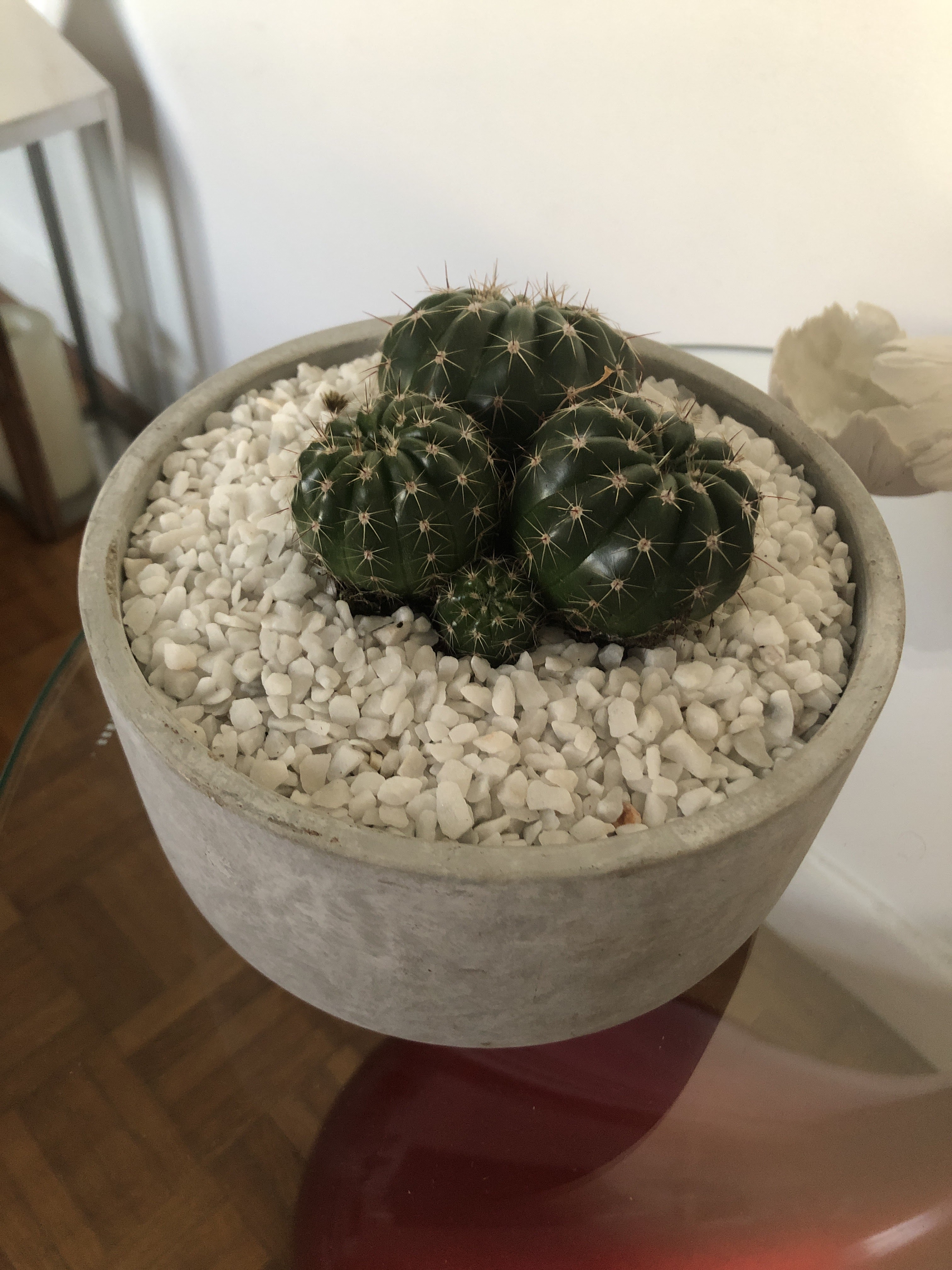 Photo n° 1 de l'avis de Vincent.a fait le 19/03/2019 à 17:38