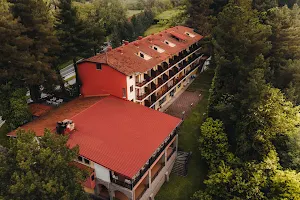 Milionis Forest Hotel image