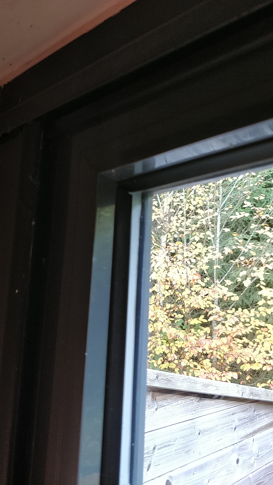 Photo n° 2 de l'avis de Wal.y fait le 27/10/2020 à 11:07