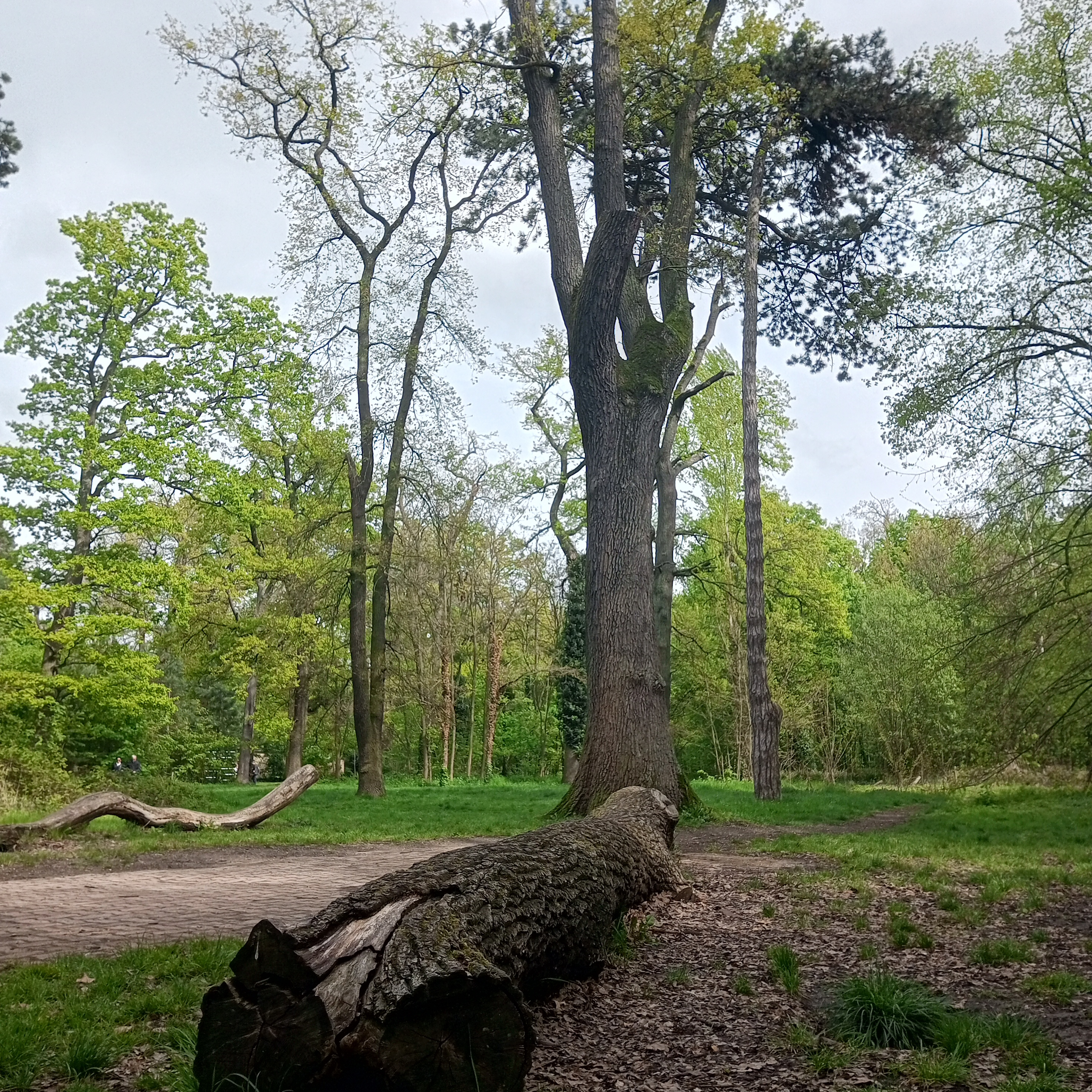 Photo n° 5 de l'avis de abed.l fait le 05/05/2023 à 10:11