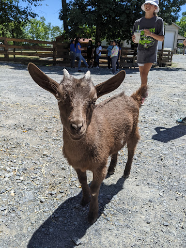 Retreat Center «Refreshing Mountain Retreat and Adventure Center», reviews and photos, 455 Camp Rd, Stevens, PA 17578, USA