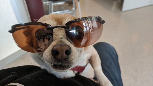 Non-Profit Organization «Humane Society Napa County - (Napa Humane)», reviews and photos