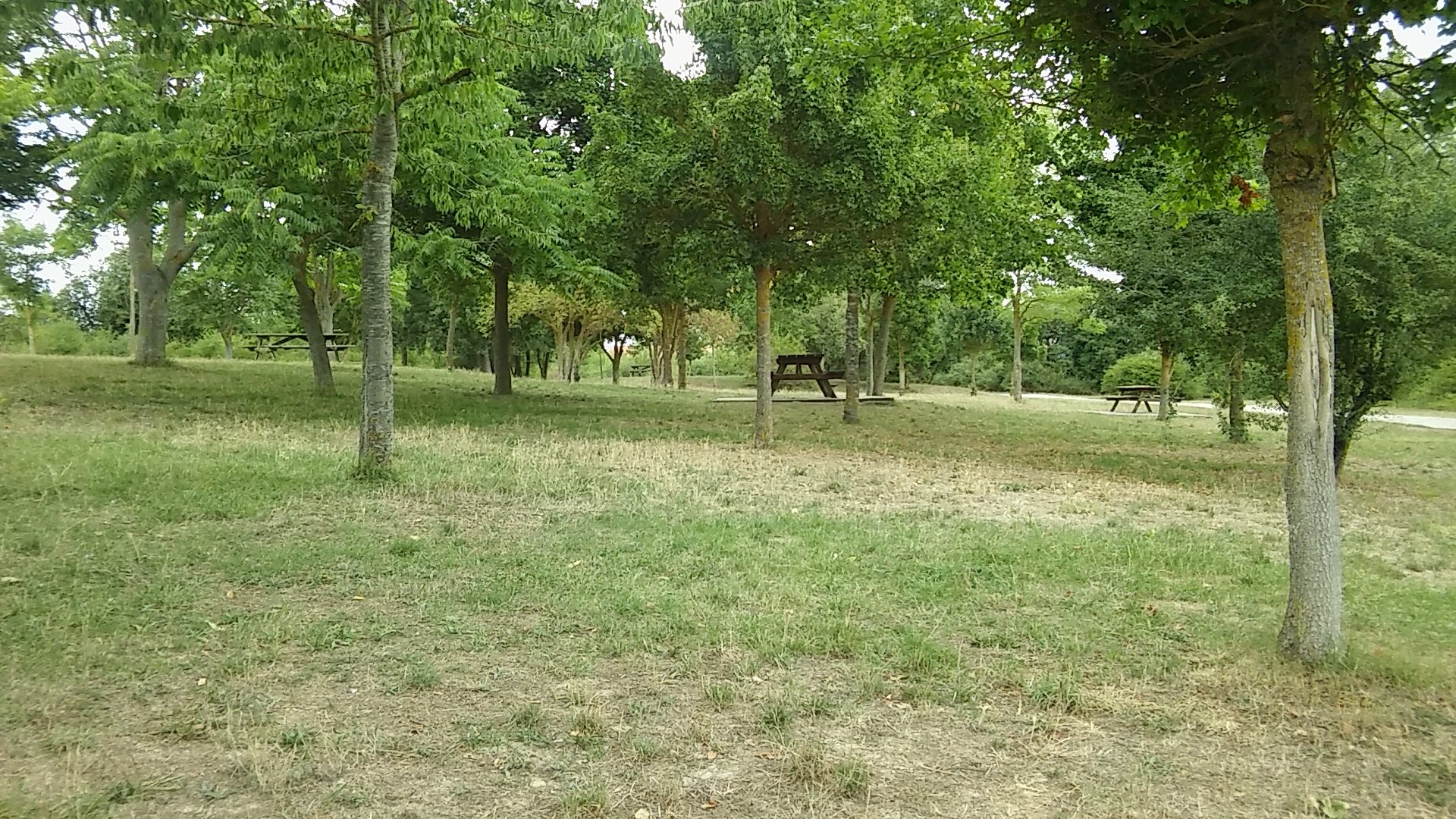 Area picnic Armentia