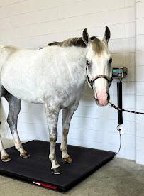 American Scale Co. Inc. - Photo 5 - Car repair in Honolulu, HI, Honolulu