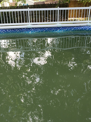 Swimming Pool «Fox Pools & Spas», reviews and photos