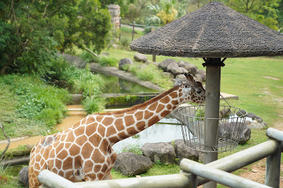 Zoo (Leofoo Resort Guanshi)