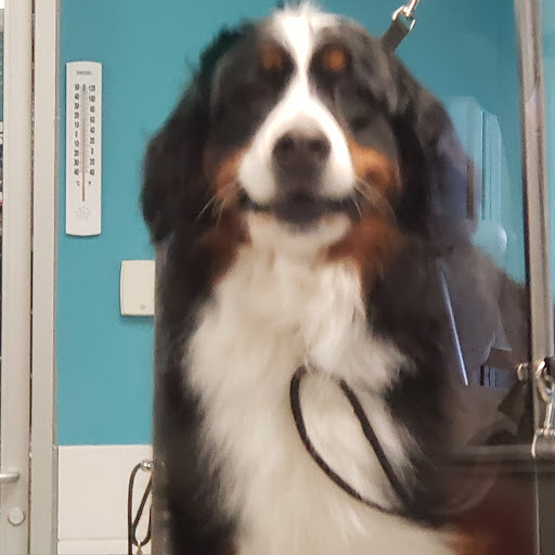 Pet Supply Store «Petco Animal Supplies», reviews and photos, 3215 Dredge Dr, Helena, MT 59602, USA