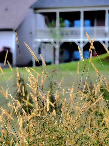 Public Golf Course «Fairways of Canton- Stratus Kitchen & Bar», reviews and photos, 400 Laurel Canyon Pkwy, Canton, GA 30114, USA