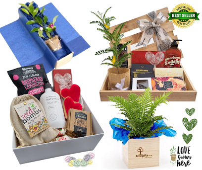 Tree Gifts NZ - Plants, Gifts, Hampers & Gift Boxes