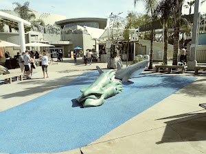 Aquarium of the Pacific - photo 26