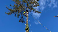 Luxury Tree Service & Landscaping - Photo 9 - Car repair in Houston, TX, The Woodlands