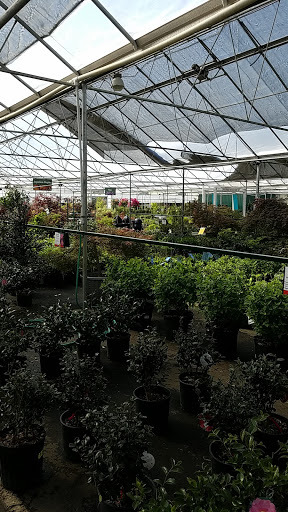 Garden Center «Pike Nurseries», reviews and photos, 6050 Bethelview Rd, Cumming, GA 30040, USA