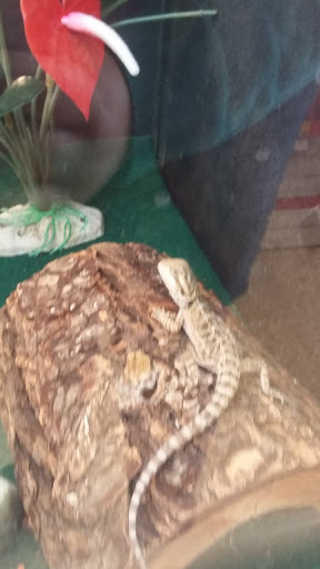 Pet Supply Store «PetSmart», reviews and photos, 270 Marketplace Boulevard, Selinsgrove, PA 17870, USA