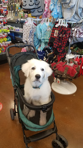 Pet Store «Choice Pet Market», reviews and photos, 20028 N 67th Ave, Glendale, AZ 85308, USA