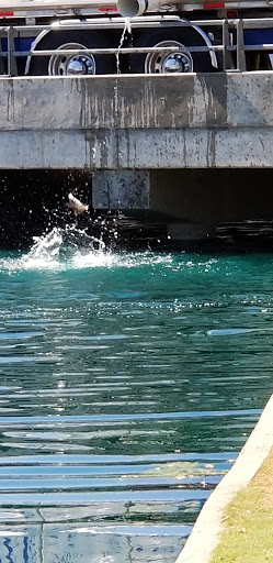 Recreation Center «Rio Vista Recreation Center», reviews and photos, 8866 W Thunderbird Rd, Peoria, AZ 85381, USA