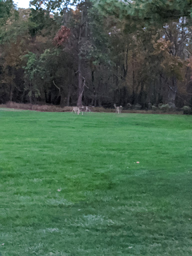 Golf Course «Twin Brook Golf Center», reviews and photos, 1251 Jumping Brook Rd, Tinton Falls, NJ 07753, USA