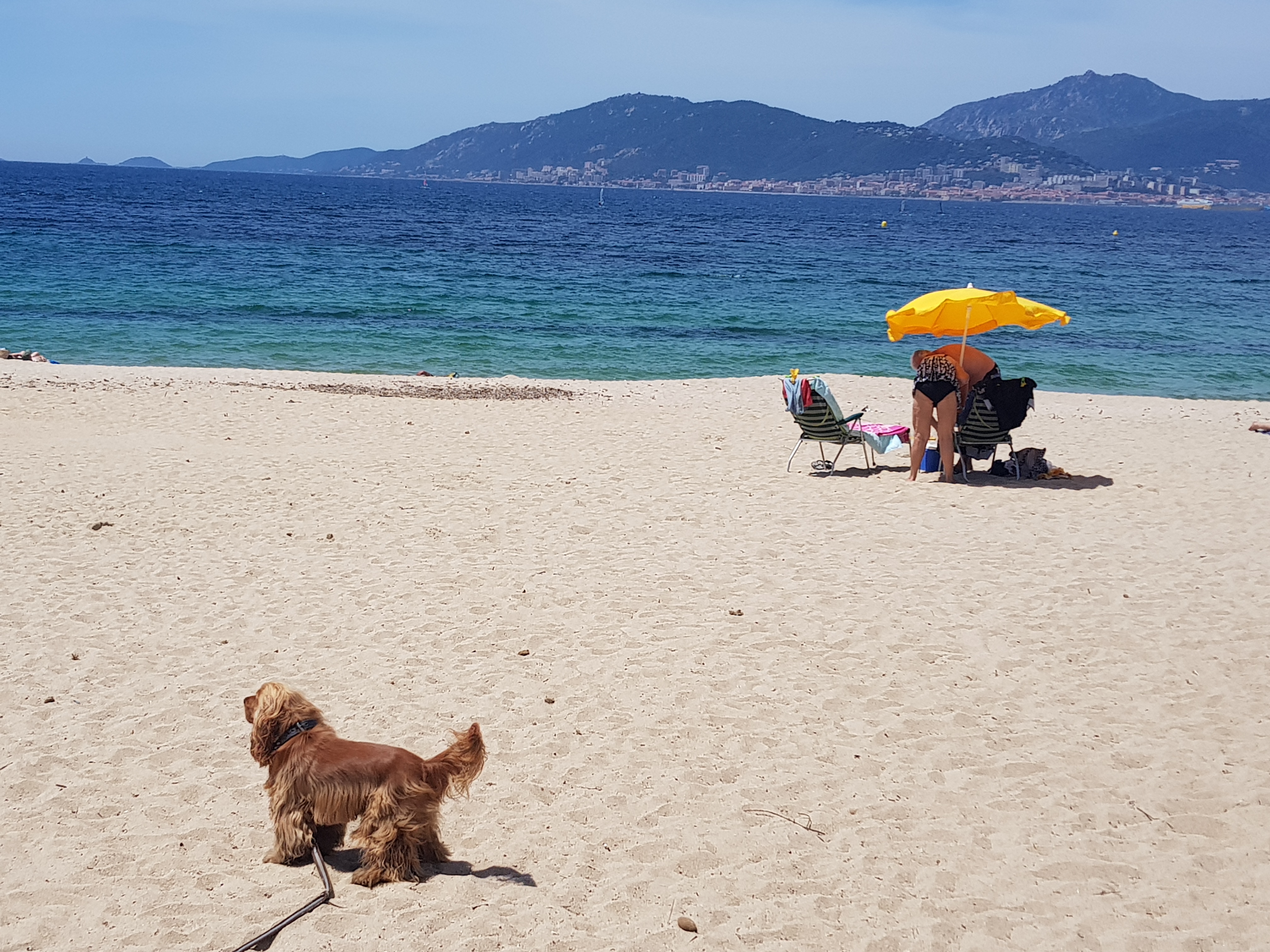 Photo n° 2 de l'avis de Marc. fait le 02/06/2018 à 12:24