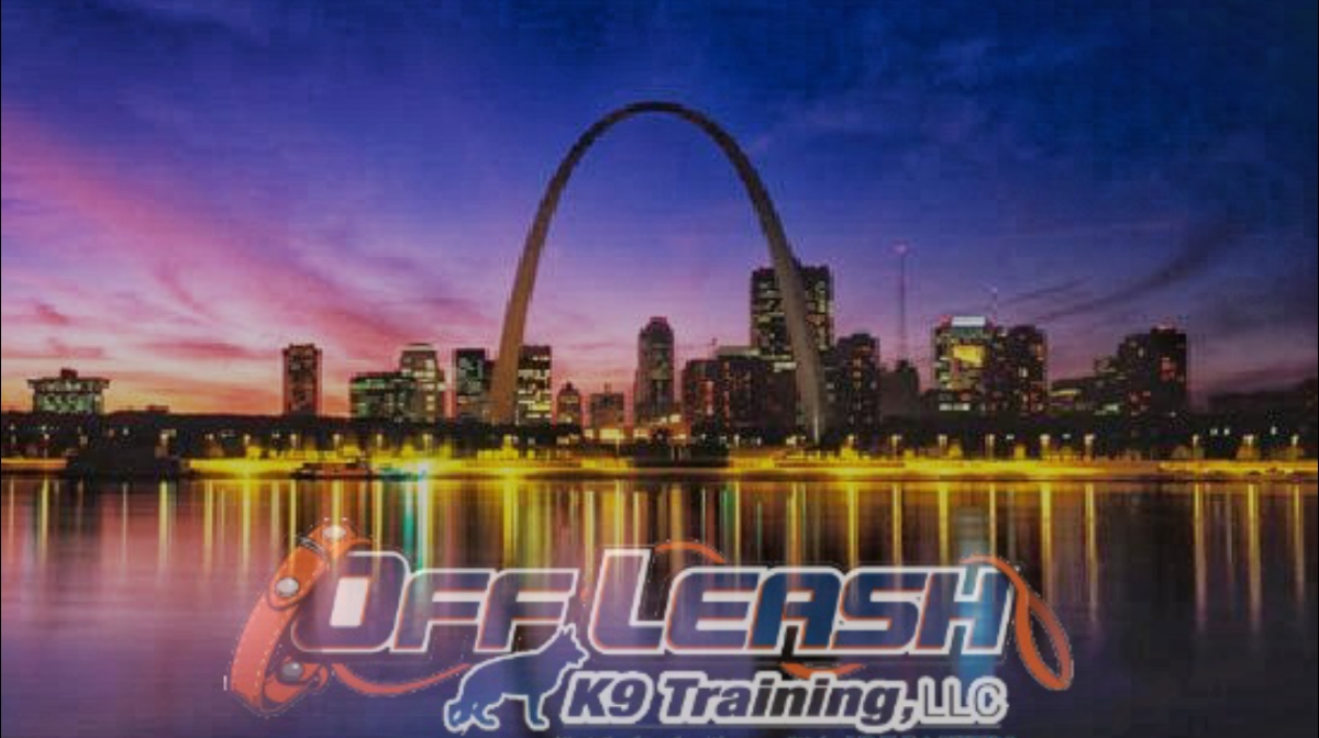 Off Leash K9 Training St. Louis