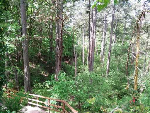 Golf Course «Fort Steilacoom Golf Course», reviews and photos, 8202 87th Ave SW, Lakewood, WA 98499, USA