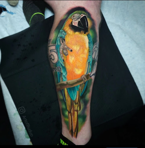 Explore back tattoo ideas for females, creative tattoo ideas in Worcester, available at Studio 31 Tattoo Social Club