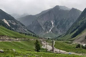 Fish Point Sonmarg image