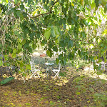 Photo n°9 de l'avis de Clemy.a fait le 15/10/2023 à 15:05 sur le  Country House Araba Phoenix à Alano