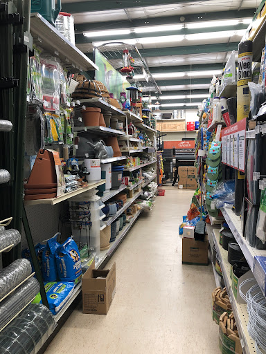 Hardware Store «Ace Hardware», reviews and photos, 2585 N Florida Ave, Hernando, FL 34442, USA