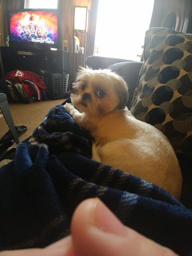 Pet Supply Store «Pet Supplies Plus», reviews and photos, 6159 Kalamazoo Ave SE, Grand Rapids, MI 49508, USA