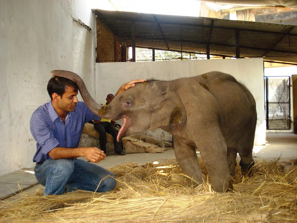 DR CHOWDHURY SAHANAWAZ ALAM (VETERINARY DOCTOR)