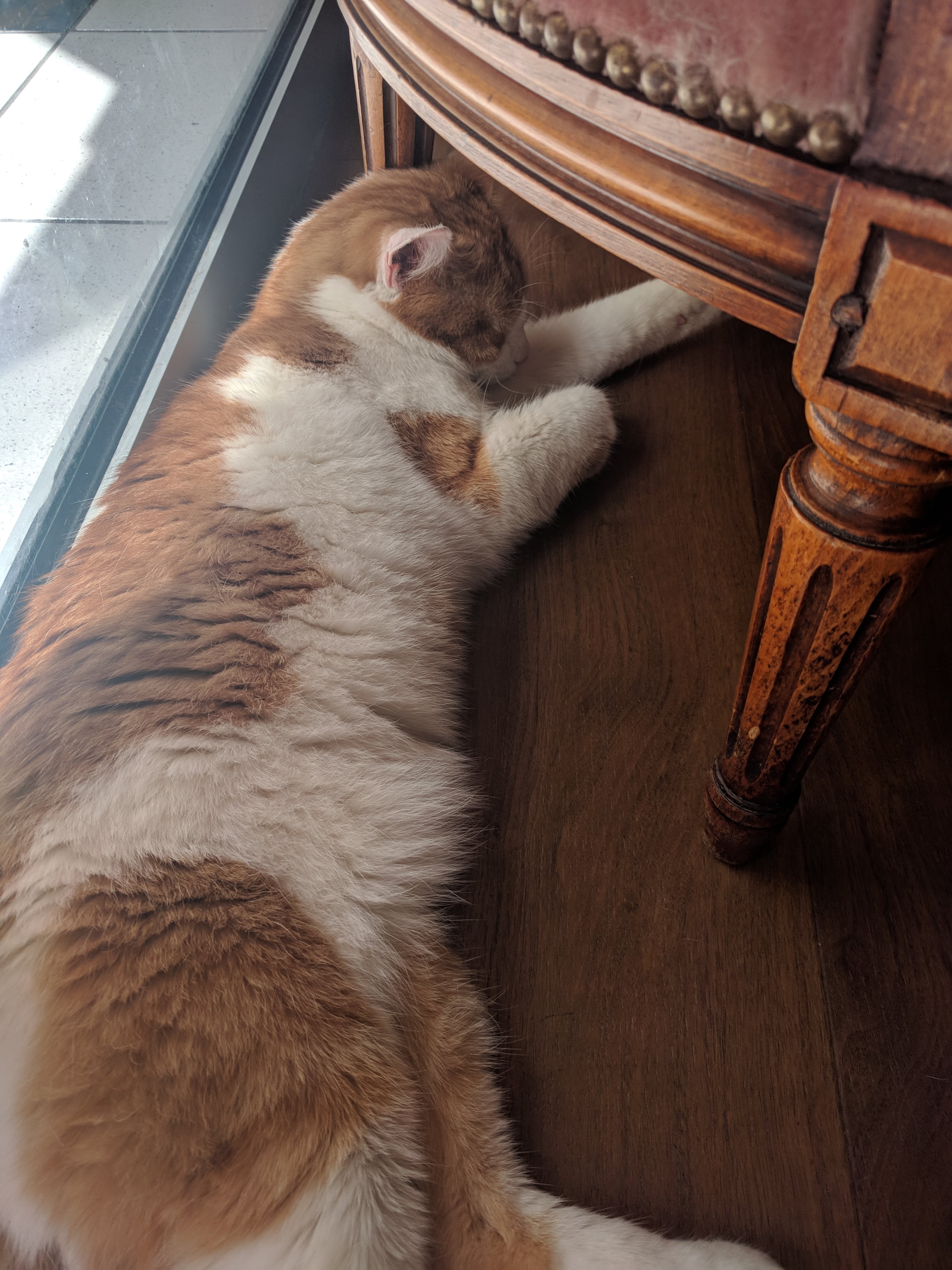 Photo n° 1 de l'avis de marie..l fait le 08/05/2018 à 09:07