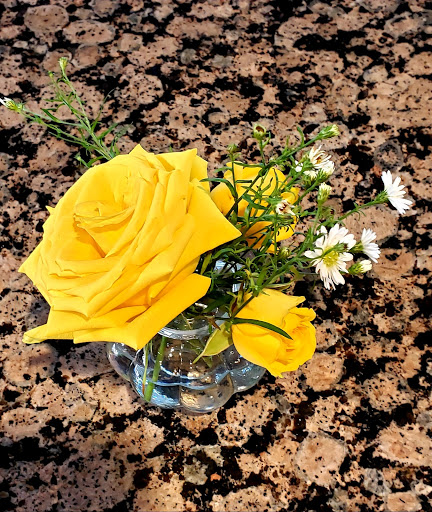 Park «Gough Park», reviews and photos, 9300 Honeygo Blvd, Perry Hall, MD 21128, USA