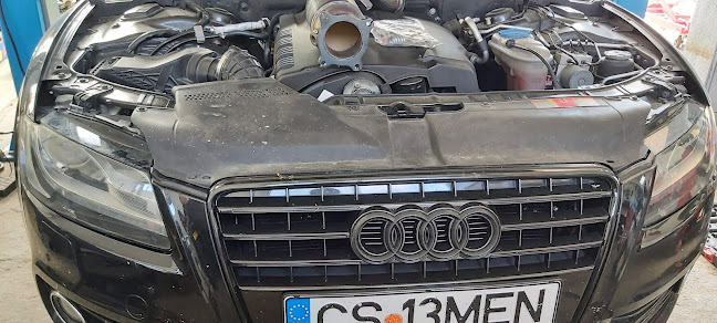 Comentarii opinii despre Reparații cutii automate Caransebeș & Service Audi, Bmw și Mercedes
