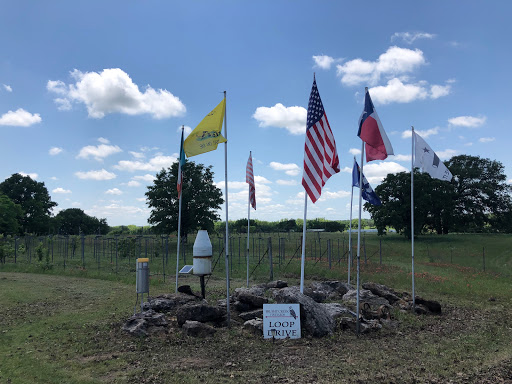 Winery «Brushy Creek Vineyards», reviews and photos, 572 Co Rd 2798, Alvord, TX 76225, USA