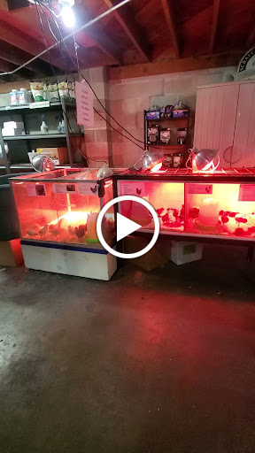 Pet Supply Store «Western Feed & Pet Supply», reviews and photos, 1600 34th St Sacramento, CA 95819 34th St, Sacramento, CA 95819, USA