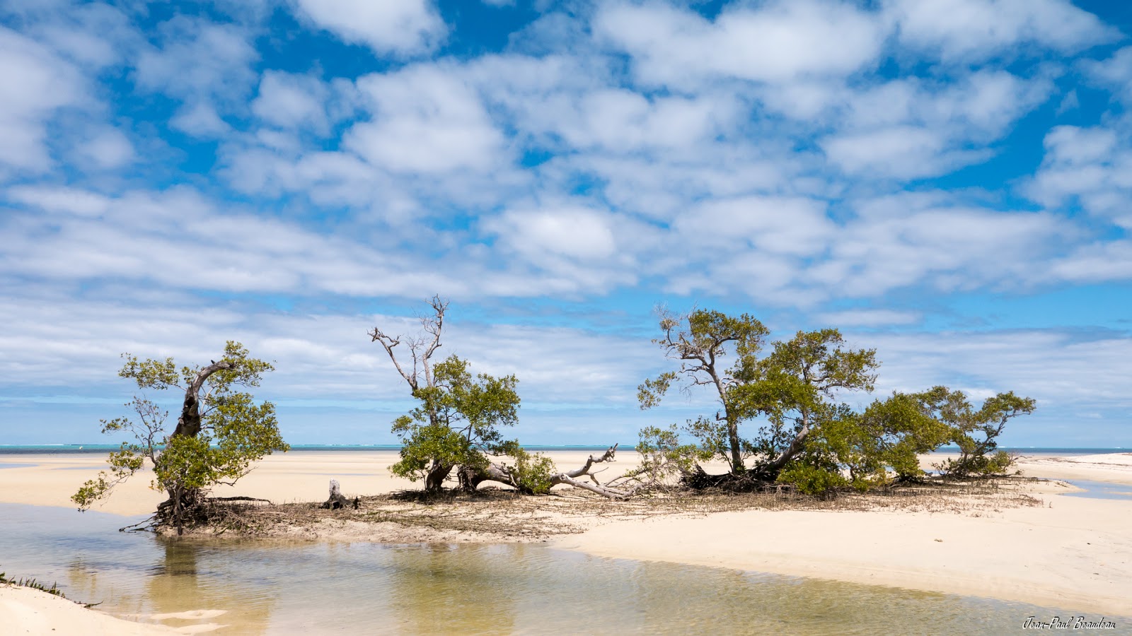 Photo de Banc de sable situé dans une zone naturelle