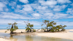 Photo de Banc de sable situé dans une zone naturelle